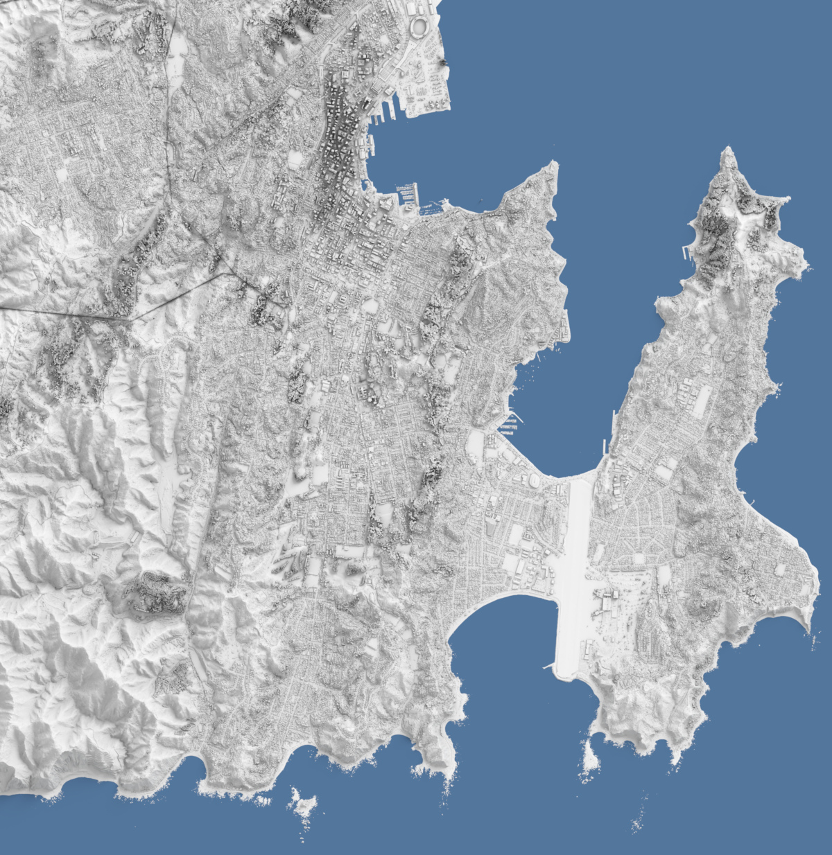 Preview of LIDAR Relief rendering of Wellington - Orthographic