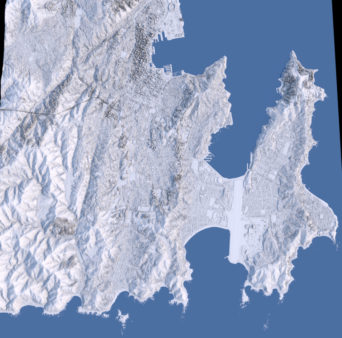 Preview of LIDAR Relief rendering of Wellington - Perspective